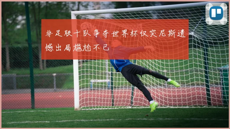 非足联十队争夺世界杯仅突尼斯遗憾出局尴尬不已